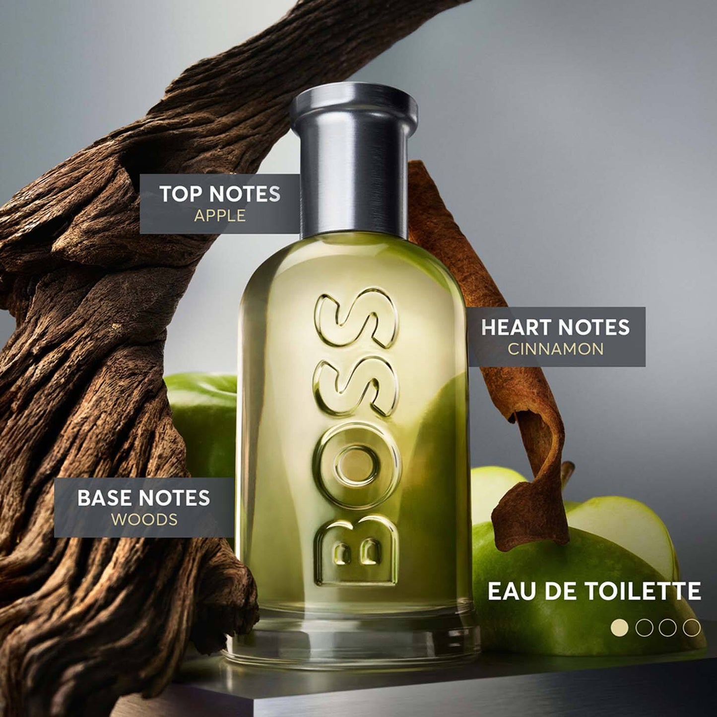 Hugo Boss Bottled Eau de Toilette 100 ML